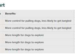 PetSafe Nylon Dog Leash, 1″ x 4′, Black – Durable with Bolt Snap – Buy Online at AbmarketX