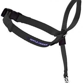 PetSafe Gentle Leader No-Pull Head Collar for Dogs – Buy Online at AbmarketX