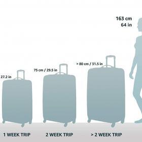 American Tourister Moonlight Hardside Luggage Set – Buy Online at AbmarketX