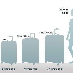 Rockland Safari Hardside Spinner Wheel Luggage – Buy Online at AbmarketX