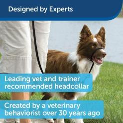 PetSafe Gentle Leader No-Pull Head Collar for Dogs – Buy Online at AbmarketX