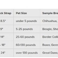 PetSafe Gentle Leader No-Pull Head Collar for Dogs – Buy Online at AbmarketX