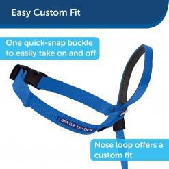PetSafe Gentle Leader No-Pull Head Collar for Dogs – Buy Online at AbmarketX