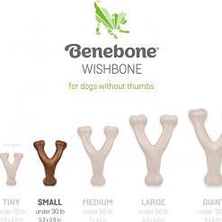 Benebone Wishbone Chew Toy for Aggressive Chewers – Buy Online at AbmarketX