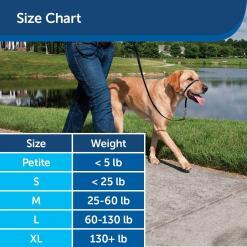 PetSafe Gentle Leader No-Pull Head Collar for Dogs – Buy Online at AbmarketX