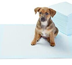 Amazon Basics Dog and Puppy Pee Pads with Leak – Buy Online at AbmarketX