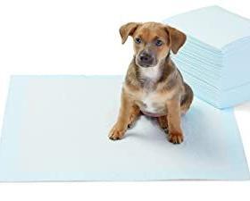 Amazon Basics Dog and Puppy Pee Pads with Leak – Buy Online at AbmarketX