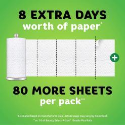 Bounty Quick Size Paper Towels – 16 Family Rolls – Buy Online at AbmarketX