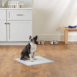 Amazon Basics Dog and Puppy Pee Pads with Leak – Buy Online at AbmarketX
