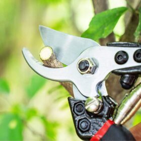 Pozzolanas 7.5″ Pruning Shears Garden Clippers Plant Scissors – Buy Online at AbmarketX