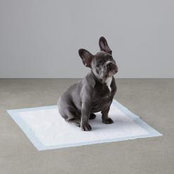 Alternative view of Amazon Basics Dog and Puppy Pee Pads with Leak