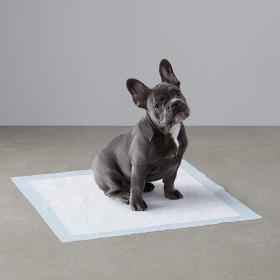 Amazon Basics Dog and Puppy Pee Pads with Leak – Buy Online at AbmarketX