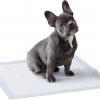 Amazon Basics Dog and Puppy Pee Pads with Leak