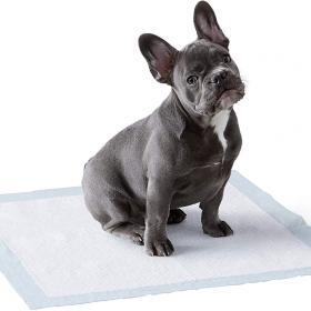 Amazon Basics Dog and Puppy Pee Pads with Leak – Buy Online at AbmarketX