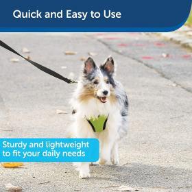 PetSafe Nylon Dog Leash, 1″ x 4′, Black – Durable with Bolt Snap – Buy Online at AbmarketX