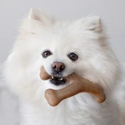 Benebone Wishbone Chew Toy for Aggressive Chewers – Buy Online at AbmarketX