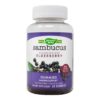 Nature’s Way Sambucus Elderberry Immune Gummies – Buy Online at AbmarketX