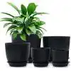 Homenote 7″ Black Plastic Planter with Drainage & Tray – Buy Online at AbmarketX