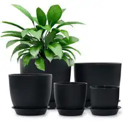 Homenote 7″ Black Plastic Planter with Drainage & Tray – Buy Online at AbmarketX