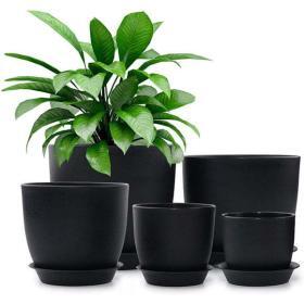 Homenote 7″ Black Plastic Planter with Drainage & Tray – Buy Online at AbmarketX
