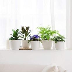 Homenote Modern Plastic Planter with Drainage & Tray – Buy Online at AbmarketX