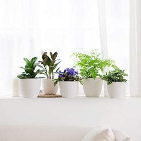Homenote Modern Plastic Planter with Drainage & Tray – Buy Online at AbmarketX