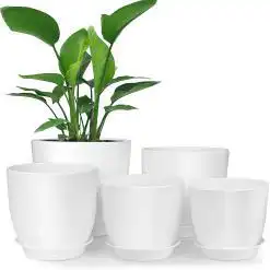 Homenote Modern Plastic Planter with Drainage & Tray – Buy Online at AbmarketX