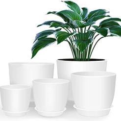 Homenote Modern Plastic Planter with Drainage & Tray – Buy Online at AbmarketX