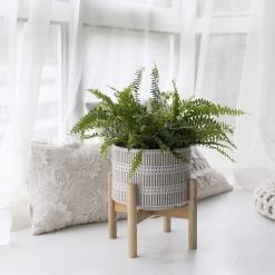 LA JOLIE MUSE 7.3″ Ceramic Planter with Wood Stand – Buy Online at AbmarketX