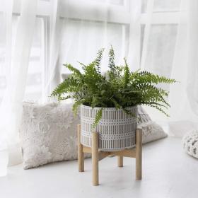 LA JOLIE MUSE 7.3″ Ceramic Planter with Wood Stand – Buy Online at AbmarketX