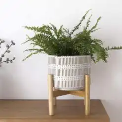 LA JOLIE MUSE 7.3″ Ceramic Planter with Wood Stand – Buy Online at AbmarketX