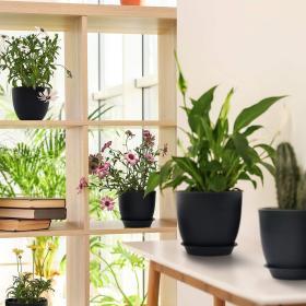 Homenote 7″ Black Plastic Planter with Drainage & Tray – Buy Online at AbmarketX