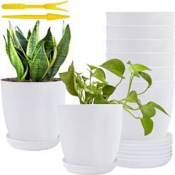 Homenote Modern Plastic Planter with Drainage & Tray – Buy Online at AbmarketX