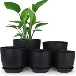 Homenote 7″ Black Plastic Planter with Drainage & Tray – Buy Online at AbmarketX