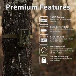 Alternative view of Rexing Woodlens H1 16 MP Trail Camera
