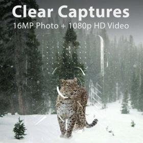 Rexing Woodlens H1 16 MP Trail Camera – Buy Online at AbmarketX