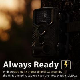 Rexing Woodlens H1 16 MP Trail Camera – Buy Online at AbmarketX