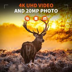 Rexing Woodlens H6 Dual-Camera Trail Cam – Buy Online at AbmarketX