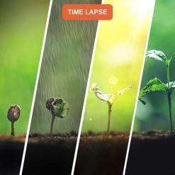 Rexing TL1 Time‑Lapse Camera – Buy Online at AbmarketX