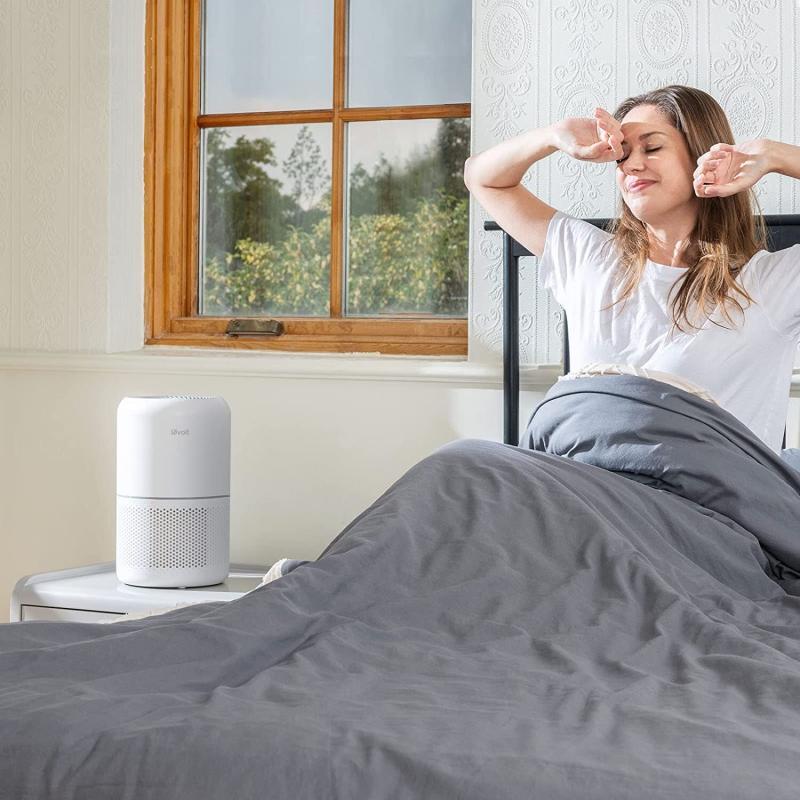 Levoit Core300‑P Air Purifier – Dust, Pet hair & Smoke Remover – Buy Online at AbmarketX