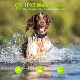 NVK TC20 Dog Shock Collar with Remote – Buy Online at AbmarketX