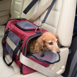 Gen7Pets Commuter Pet Carrier & Car Seat – Red/Black – Buy Online at AbmarketX