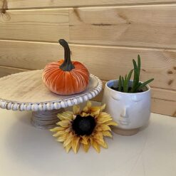 Gresorth Velvet Pumpkins Set – Assorted Orange Sizes – Buy Online at AbmarketX