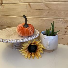 Gresorth Velvet Pumpkins Set – Assorted Orange Sizes – Buy Online at AbmarketX