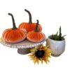 Gresorth Velvet Pumpkins Set – Assorted Orange Sizes – Buy Online at AbmarketX