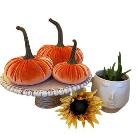 Gresorth Velvet Pumpkins Set – Assorted Orange Sizes – Buy Online at AbmarketX