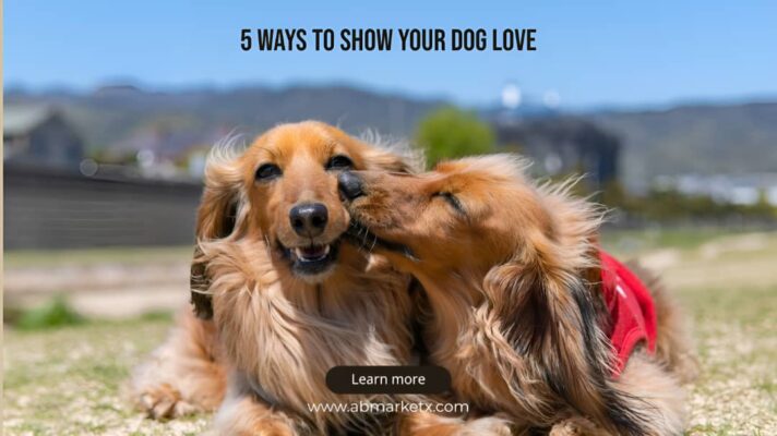 5 Pet Love Languages: How to Show Your Furry Friend You Care