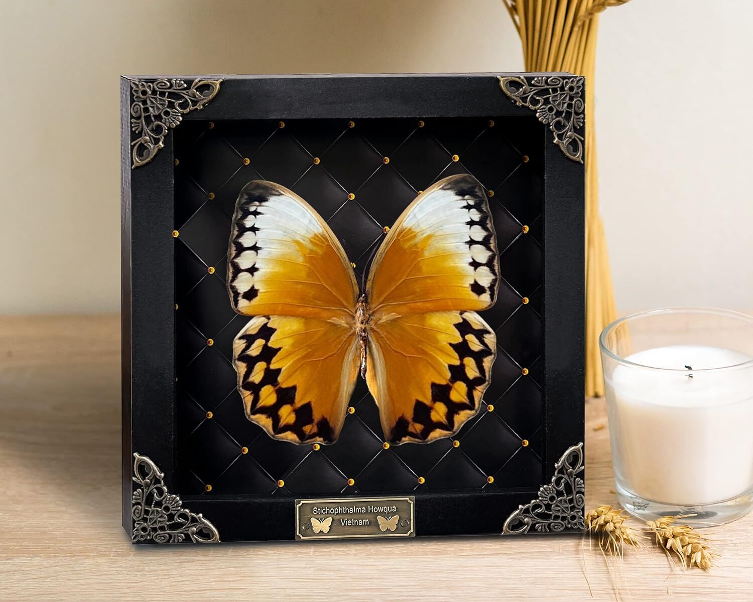 Real Butterfly Black Rhombus Frame Shadow Box – Buy Online at AbmarketX