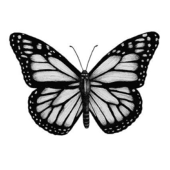 Insect Decorations