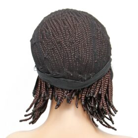 Lexqui Knotless Box Braided Lace Front Wig – Buy Online at AbmarketX